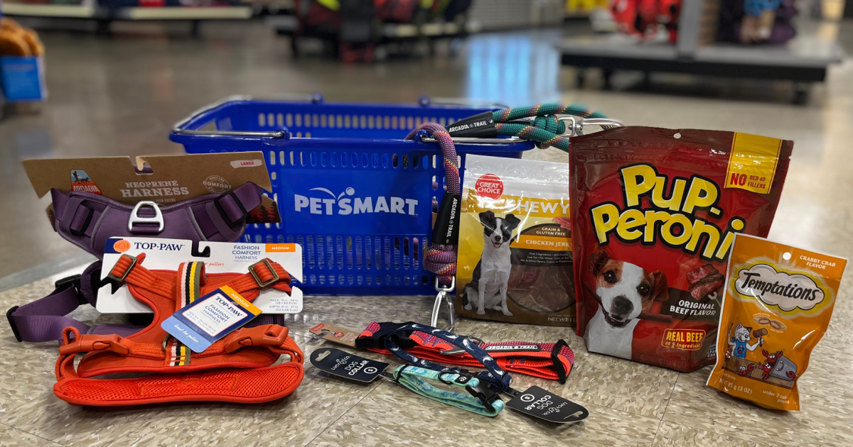 petsmart toy box