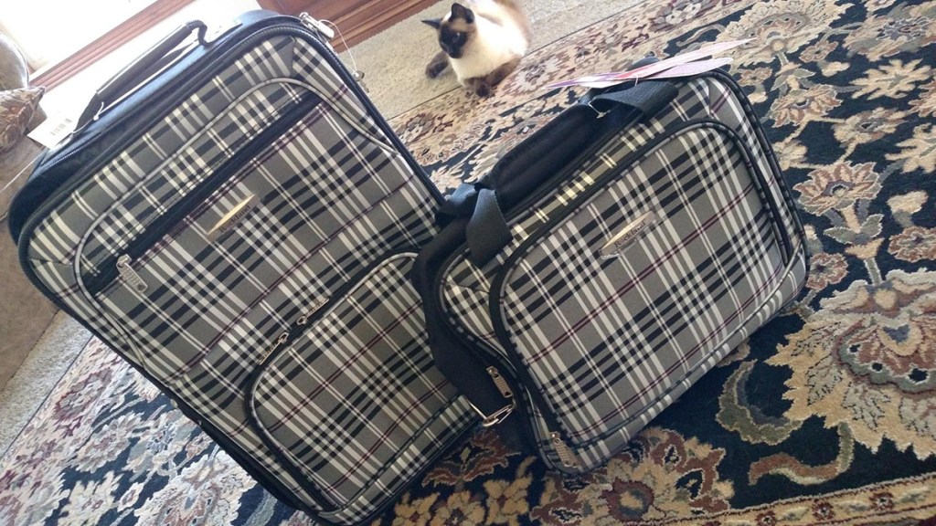 9 of the Best Luggage Sets You Need for Your Next Trip