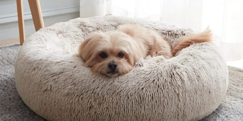 8 Best Dog Beds to Buy on Amazon Right Now