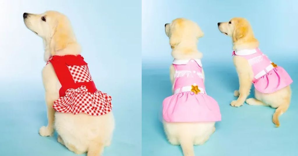 Kohl's Pet Costumes - Dolly Parton Red Gingham Dress and Pink Cowgirl Dress