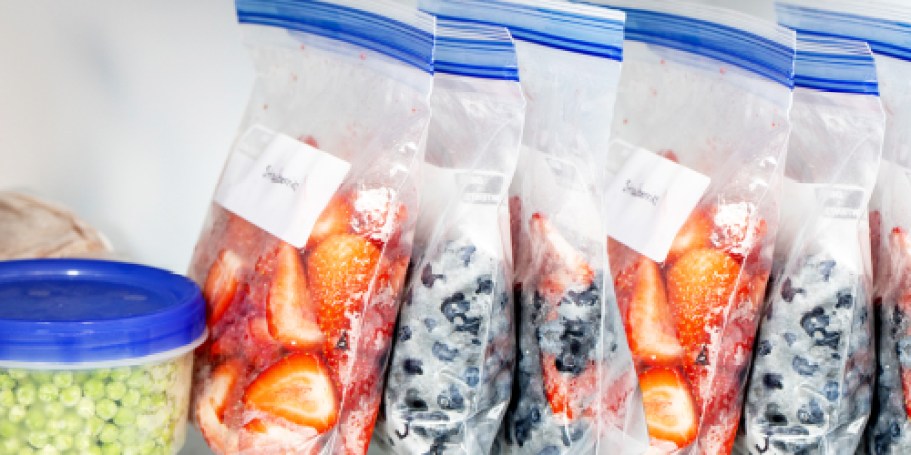 Amazon Basics Freezer Quart Bags 120-Count Box Only $5 Shipped