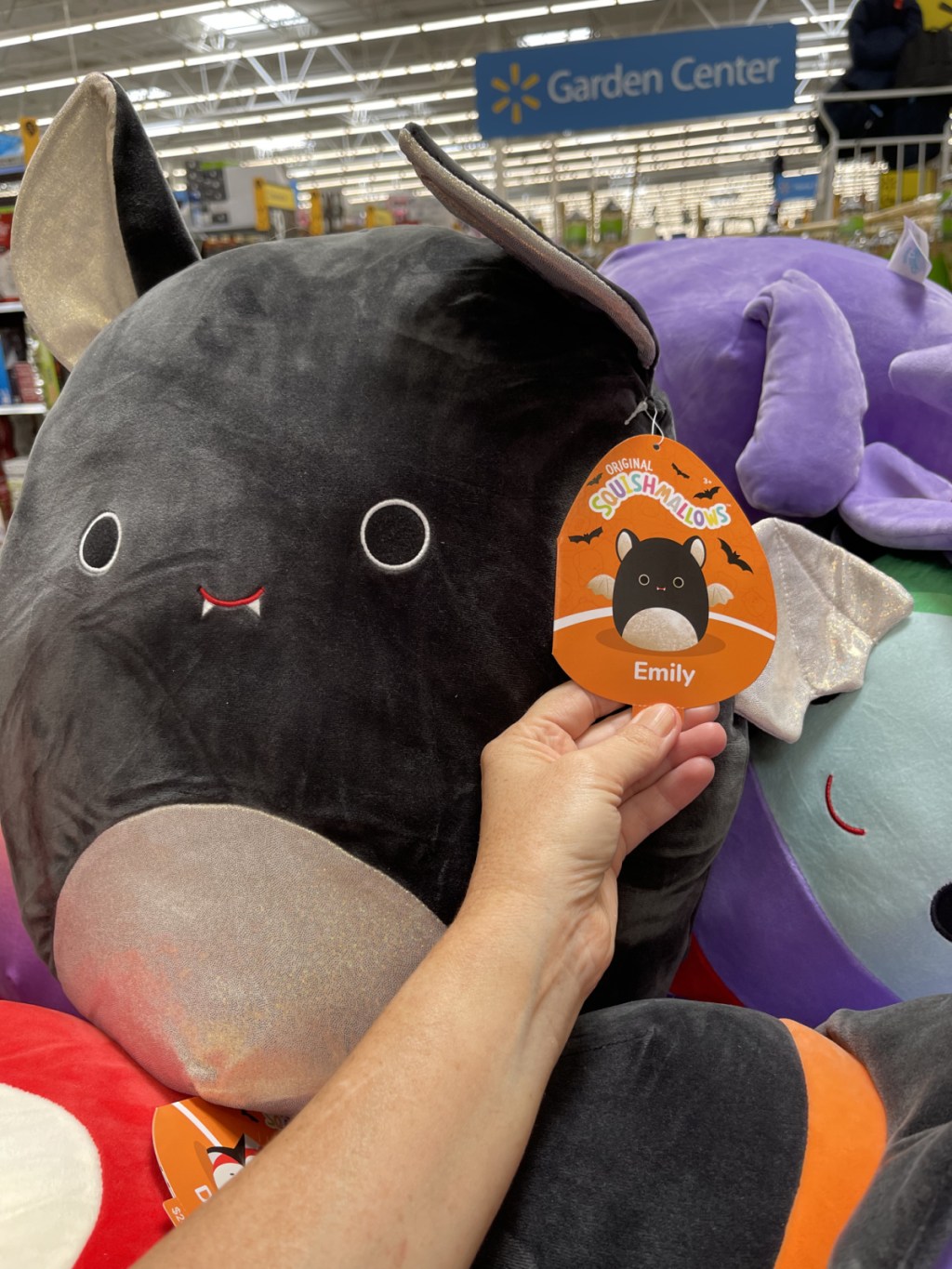 Bat Squishmallow at Walmart - Emily the Bat Halloween Squishmallow