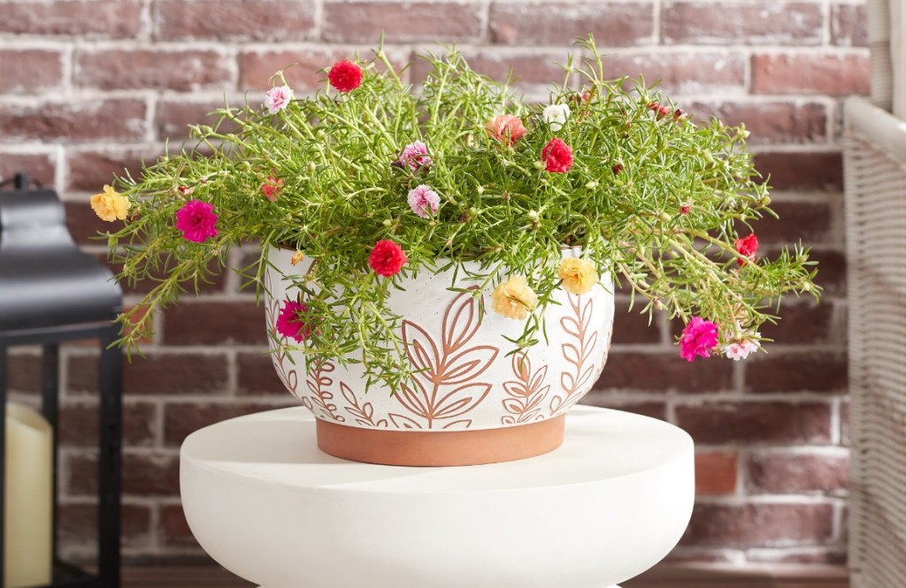 Terrakotta-Pflanzgefäß mit Blattmotiven auf einem kleinen Tisch.  Im Pflanzgefäß befindet sich eine Rosenpflanze.