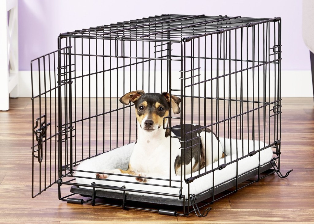 dog in crate with white crate pad