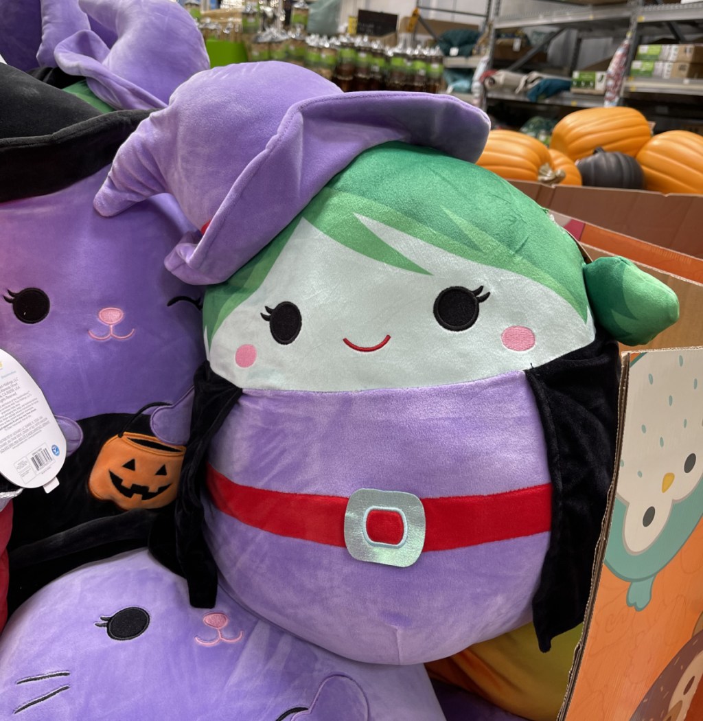 Brie The Witch Squishmallow 2022 Halloween Squishmallows