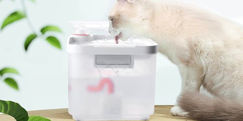 Ultra-Quiet Cat Water Fountain Only $19.99 Shipped on Amazon (Filter Removes 99.9% of Impurities for 90 Days!)