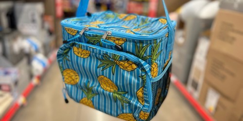 Our Favorite ALDI Weekly Finds | $11.99 Cooler Bags, $14.99 Hammock w/ Carry Bag, & More