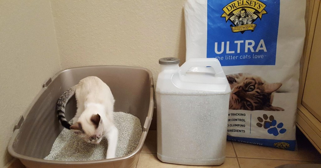 white cat using litter box with dr elsey cat litter bag next to it