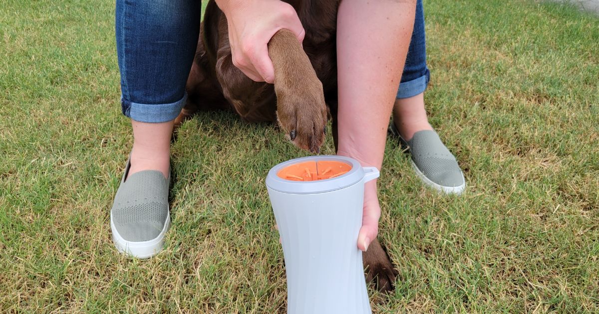 person about to put dog's paw in paw cleaner