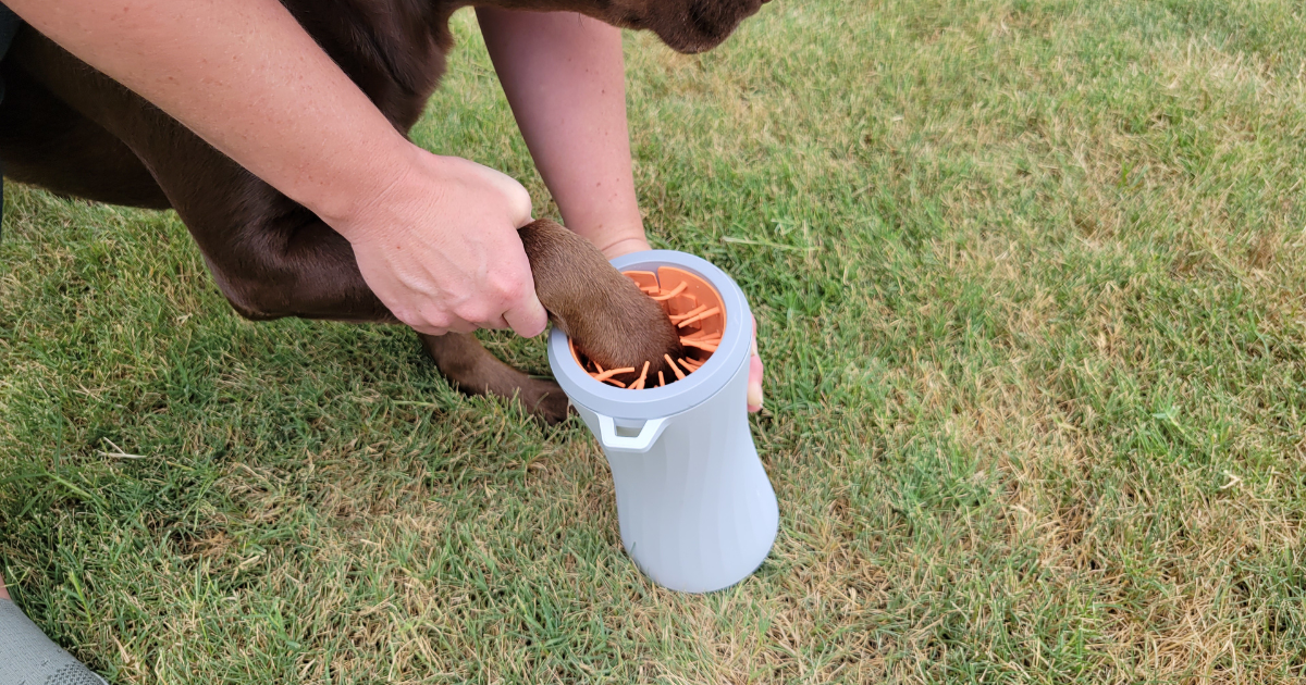 eufy dog paw cleaner