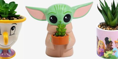 Up to 40% Off Disney Succulents | The Mandalorian, Beauty & the Beast, + More