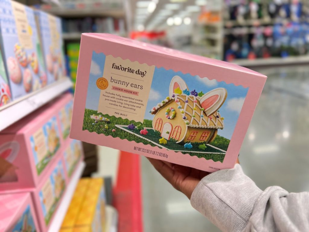Hand holding the box for a Favorite Day Easter Pre-Built Bunny House Kit