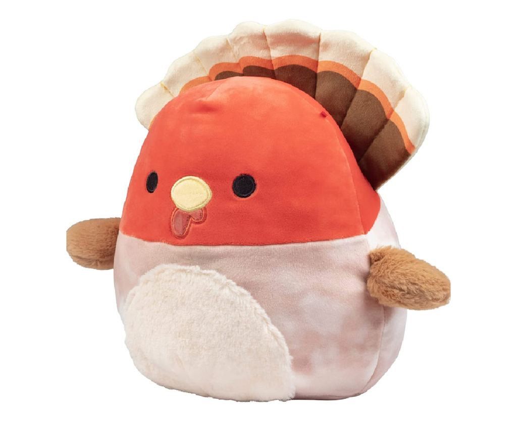 Gavi the Turkey Squishmallow