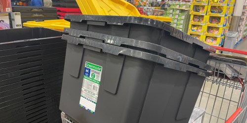 *HOT* Greenmade 27-Gallon Storage Tote w/ Lid ONLY $7.99 at Costco