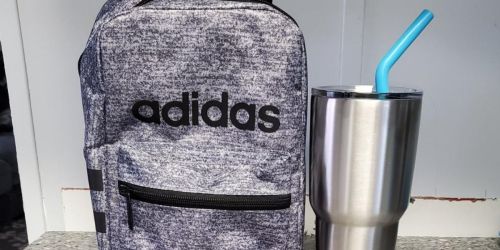 Adidas Insulated Lunch Bags from $14 Shipped (Regularly $28)