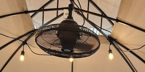 Lowe’s Indoor/Outdoor Cage Style Ceiling Fan Only $89.98 Shipped (Reg. $140) + More