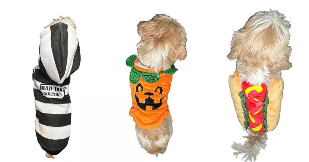 Kohl's Pet Costumes - Prisoner, Pumpkin and Hot Dog
