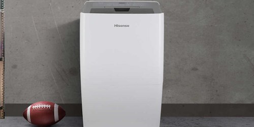 Hisense 50-Pint Dehumidifier Just $133.98 Shipped on Costco.com (Reg. $180)