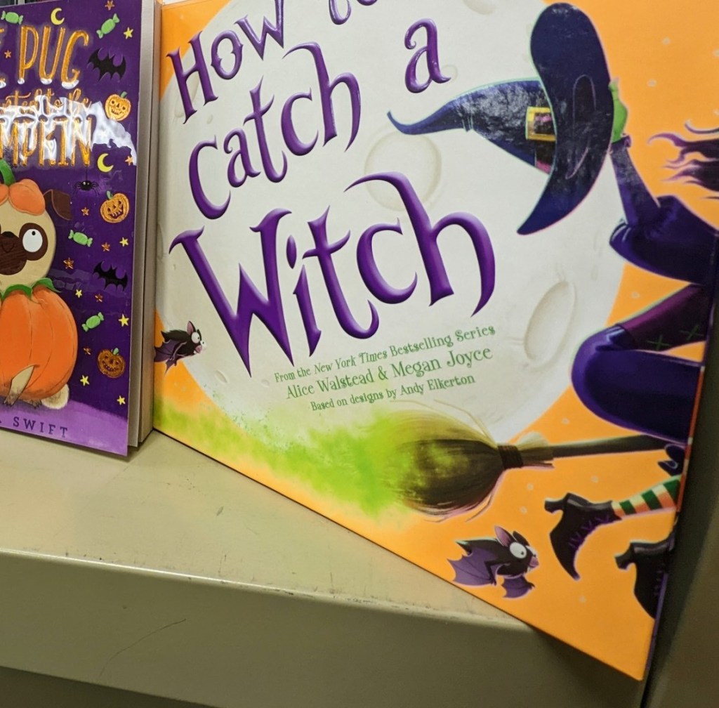 How to Catch a Witch book 