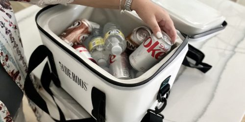 This Cooler Bag Holds Up to 35 Cans & is Comparable to Yeti… Except It’s Only $59.99 Shipped!