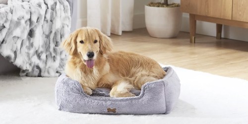 Up to 65% Off Koolaburra by Ugg Pet Beds, Clothes, & More on Kohls.com