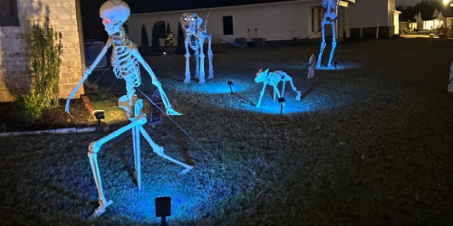 Solar Halloween Lights 2-Pack Just $13 on Amazon (8 Color Options!)