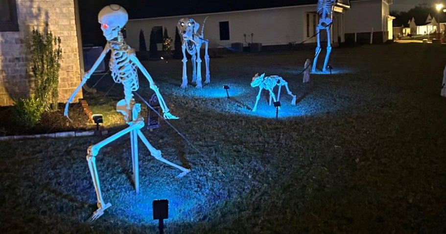 Solar Halloween Lights 2-Pack Just $13 on Amazon (8 Color Options!)