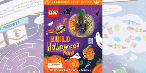 LEGO Pumpkin Build & Activity Book Only $8.99 (May Sell Out)
