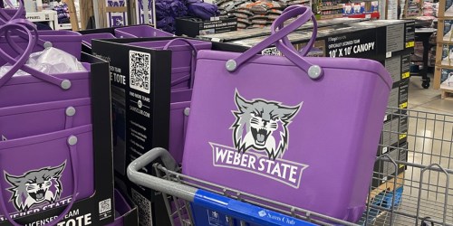 NCAA Logo Tote Bags Only $79.98 at Sam’s Club (Look Like Bogg Bags!)