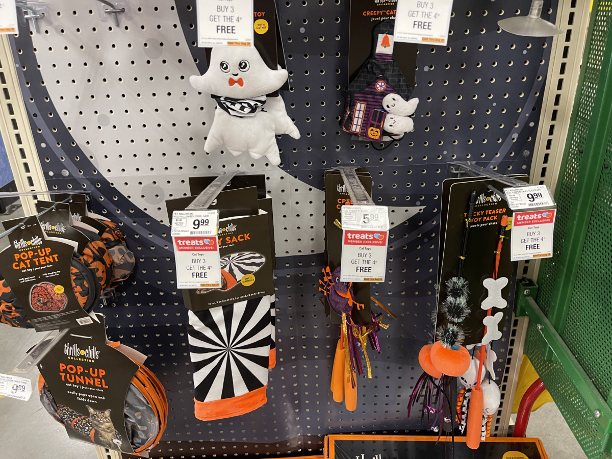 petsmart halloween cat toys