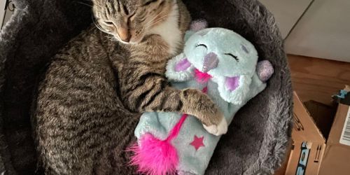 Petstages Microwaveable Unicorn Cat Toys Just $3.85 Each on Amazon (Reg. $12) | Reduces Stress & Anxiety