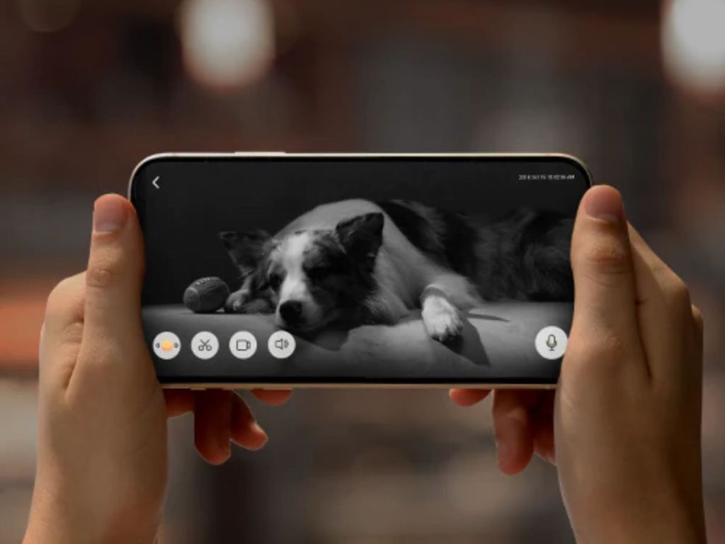 hands holding up smart phone with video of their dog laying down