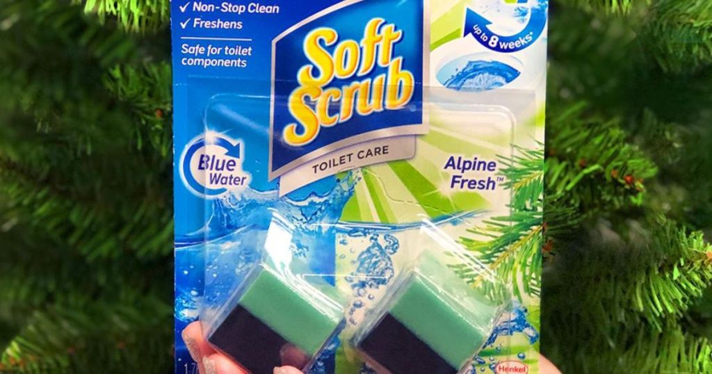 hand holding Soft Scrub Cubes