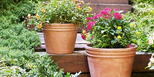Home Depot Large Terracotta Clay Planters Only $4.98 w/ Free Store Pickup