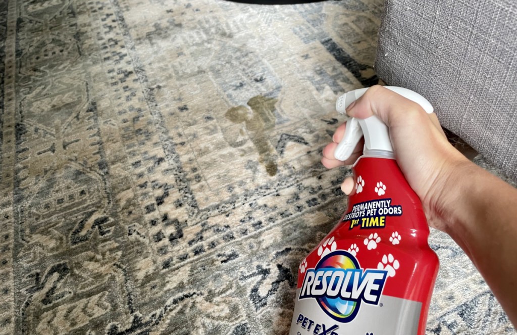 cleaning stain on area rug with resolve carpet cleaner - boutique rugs