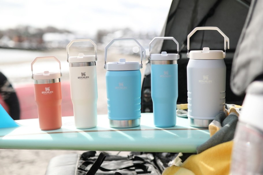 *RARE* 25% Off Stanley Sale | Popular IceFlow Water Bottle Only $24