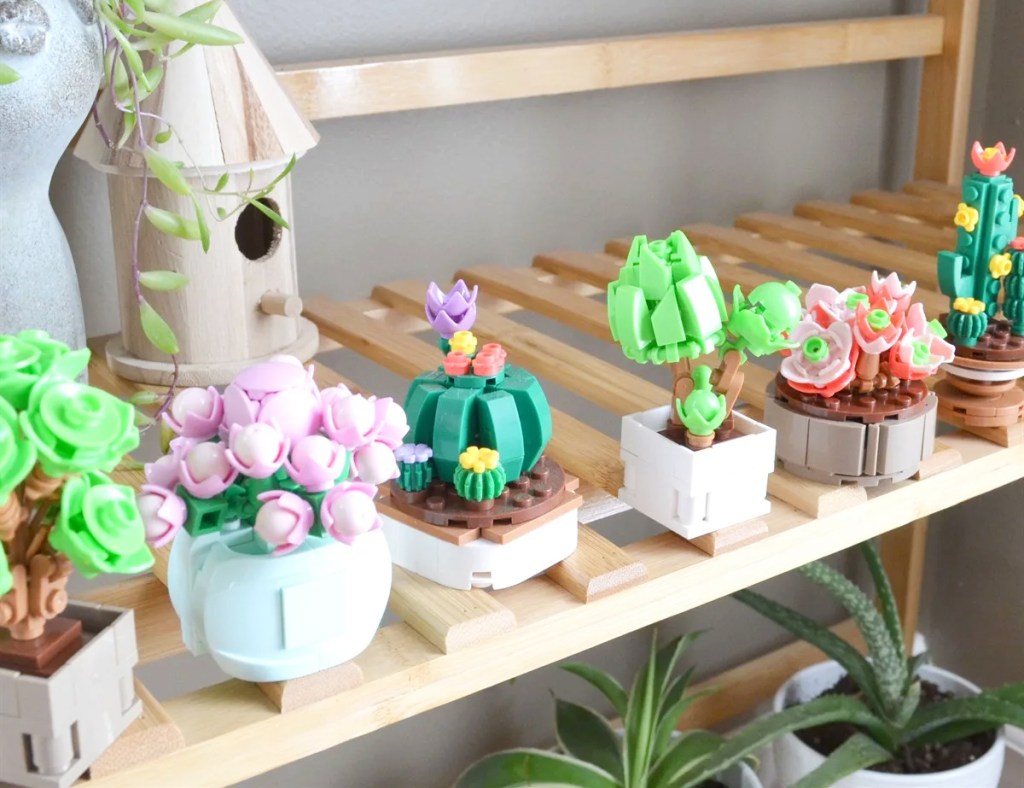 Succulent Building Block Sets on wood shelf