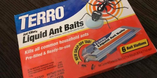 TERRO Liquid Ant Bait 6-Count Pack Just $4.54 Shipped on Amazon | Get Rid of Ants for Good