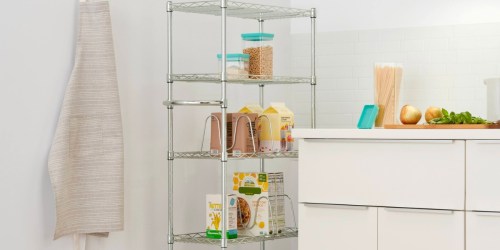 Metal Storage Shelf 5-Tier Only $39.99 Shipped on Costco.com (Regularly $60)