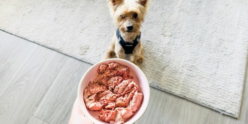 Why Raw Dog Food? (+ Score 30% Off & FREE Shipping on We Feed Raw Trial Box!)