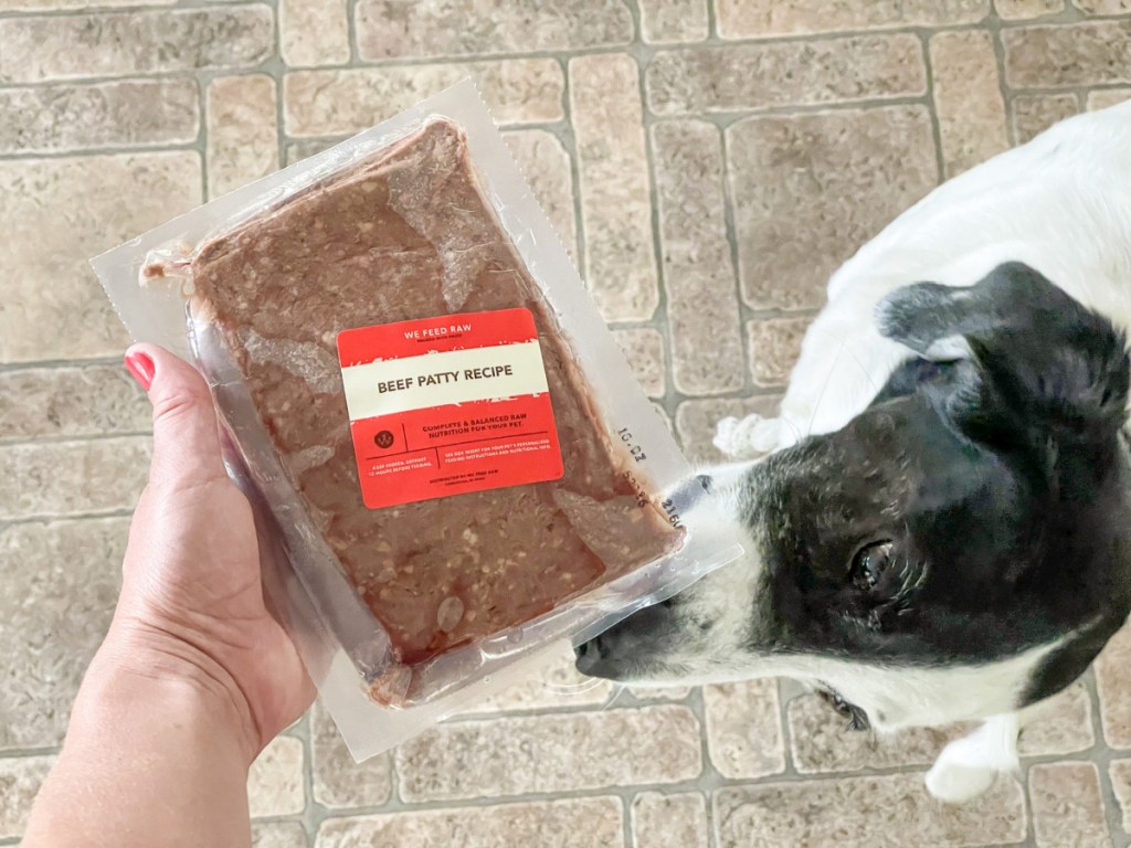 dog smelling package of we feed raw