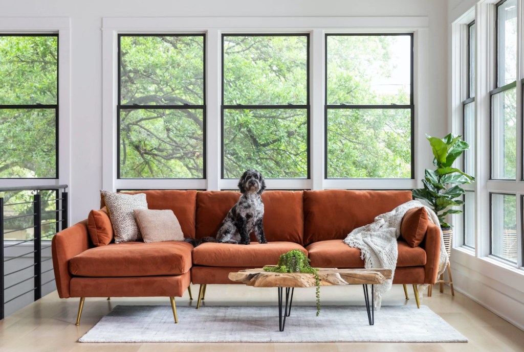 rust orange mid century modern sofa in room with huge black windows