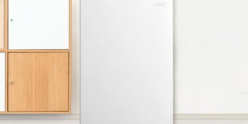 Arctic King Chest & Upright Freezers from $122 Shipped on Walmart.com (Regularly $200)