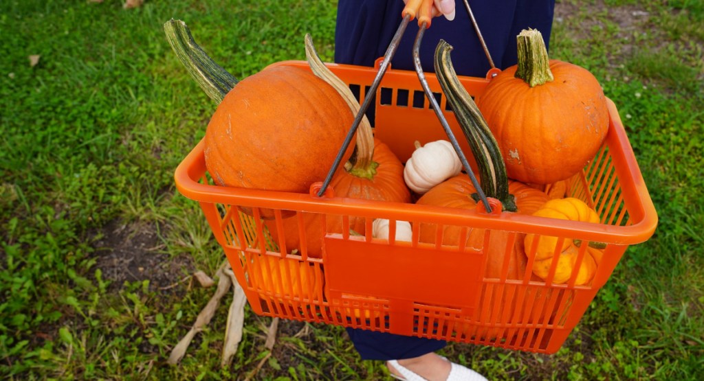 personal holding orange basket of pumpkins