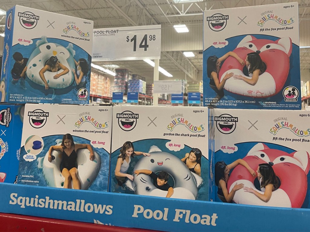 squishmallow pool floats on shelf