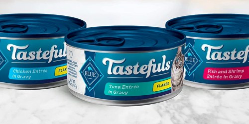 Blue Buffalo Cat Food 24-Pack Only $17.63 Shipped on Amazon (Regularly $41) – Just 73¢ Per Can