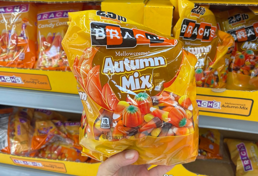 hand holding brachs autumn mix candy corn mix