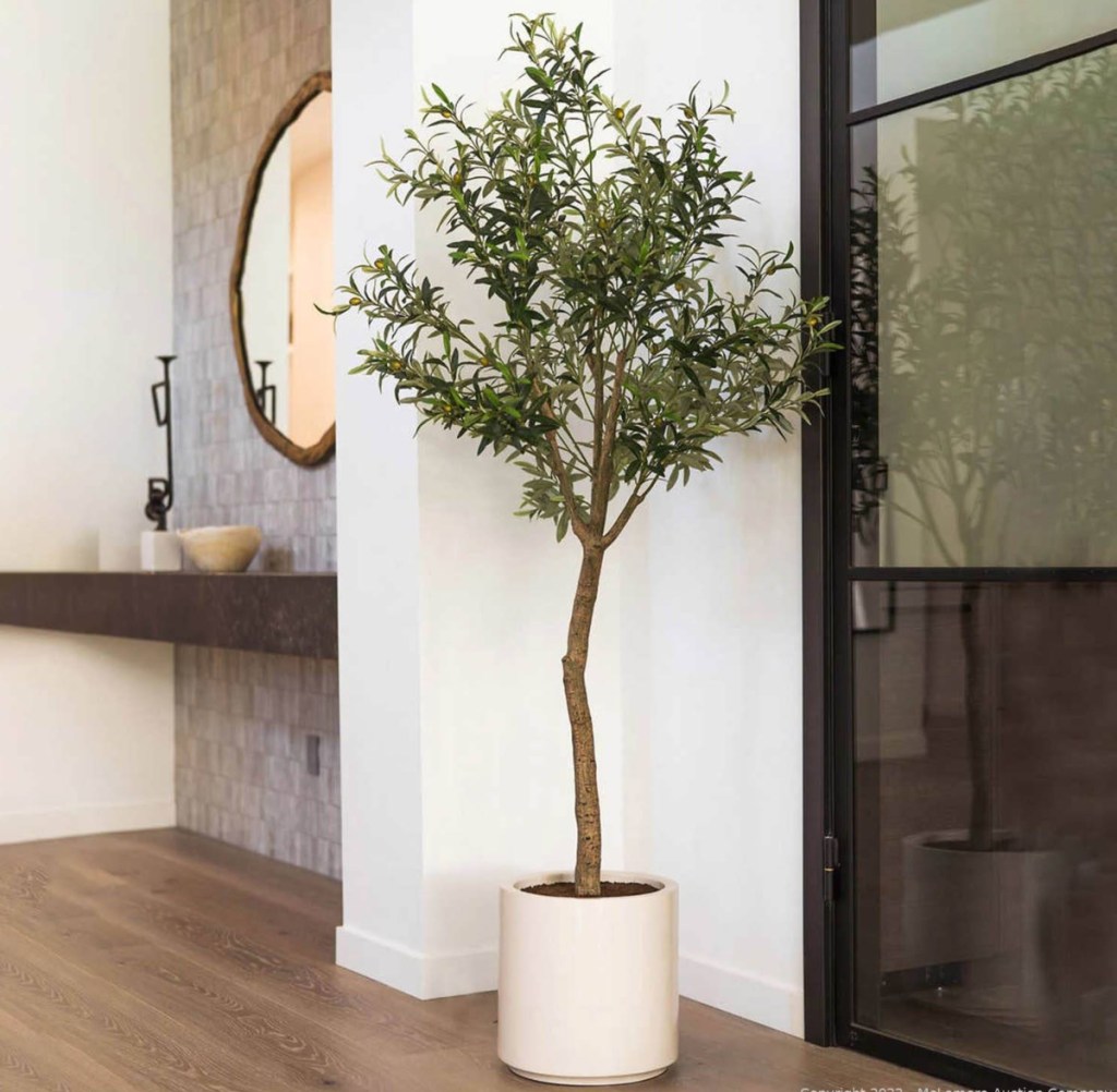 faux olive tree in white pot