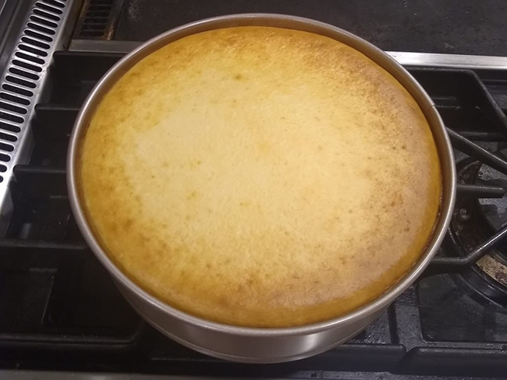 cheesecake baked in a cuisinart springform pan sitting on an open oven door
