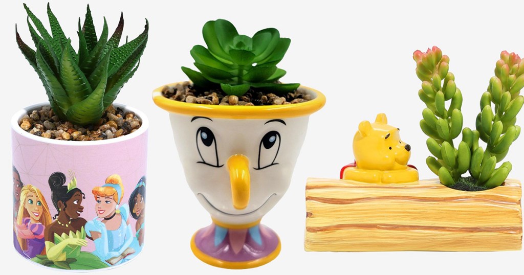 DIsney succulents princesses, chip, and pooh bear